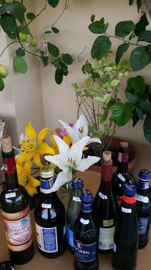 Verishen Guest House B&B غوريس المظهر الخارجي الصورة
